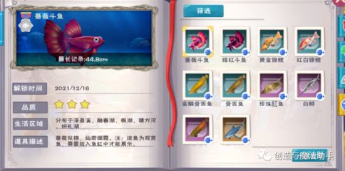 創造與魔法魚缸擺件：《創造與魔法》怎么獲取魚缸擺件