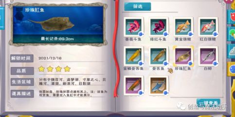 創造與魔法魚缸擺件：《創造與魔法》怎么獲取魚缸擺件