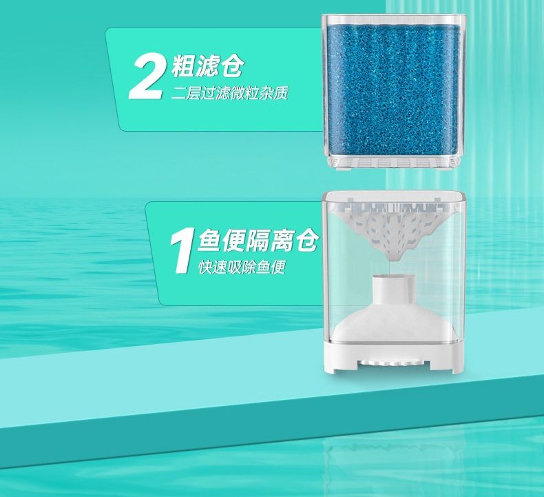 網(wǎng)上買觀賞魚去哪個網(wǎng)站買好（網(wǎng)上買觀賞魚去哪個網(wǎng)站買好呢）