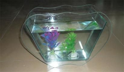 玻璃魚(yú)缸破了開(kāi)一條口子怎么辦：如何處理玻璃魚(yú)缸破口