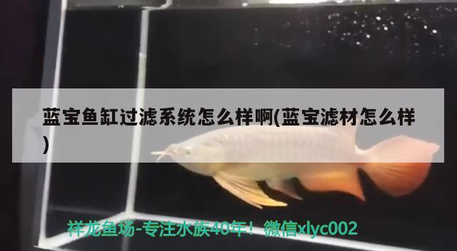 藍寶魚缸過濾系統怎么樣啊(藍寶濾材怎么樣)