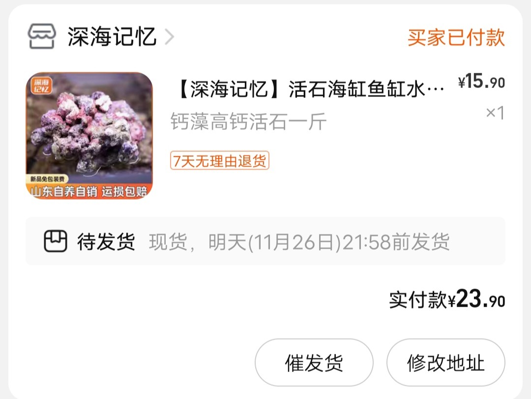 小丑魚