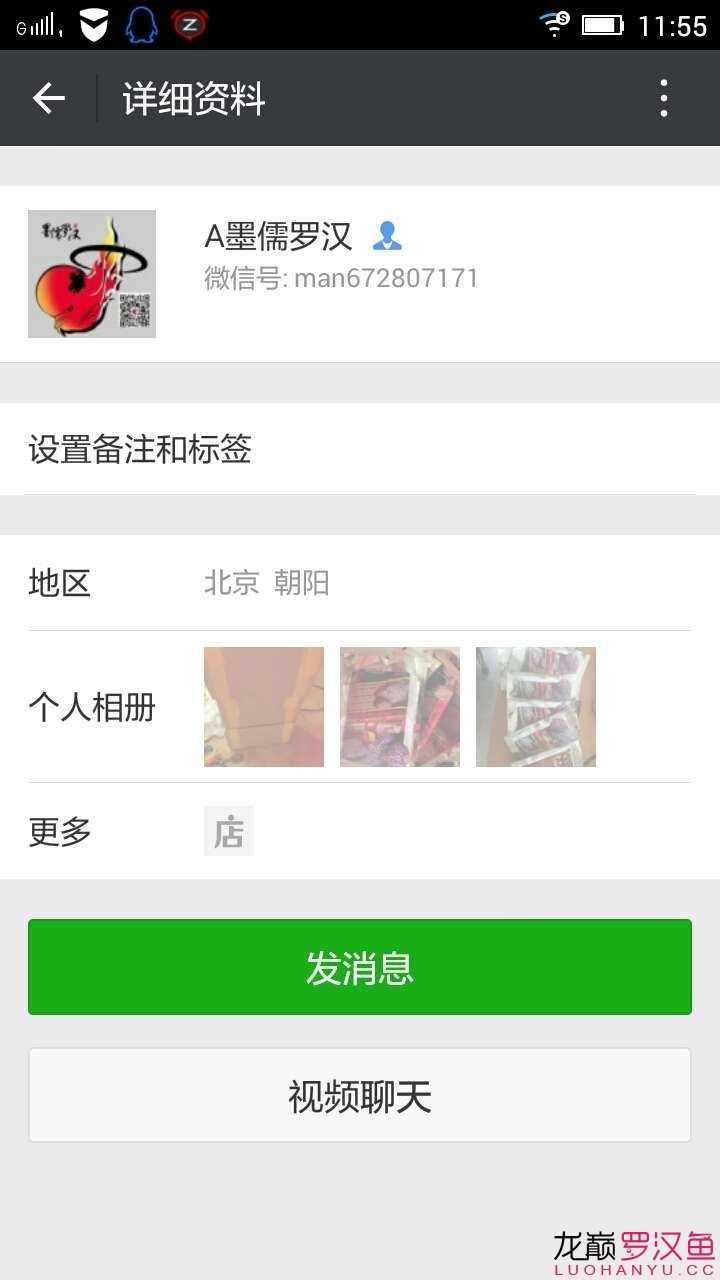 墨儒羅漢小魚缸我是這樣養羅漢的