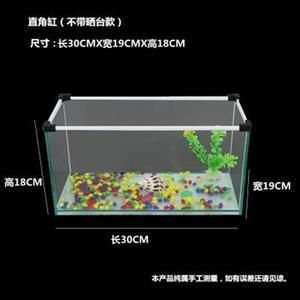 不用玻璃做魚缸怎么做：不用玻璃做魚缸，