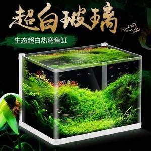 不用玻璃做魚缸怎么做：不用玻璃做魚缸，