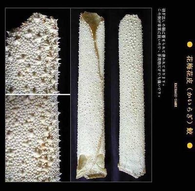 福魟魟魚飼料保存方法介紹，福[需手動填充][需手動填充]魚飼料保存方法