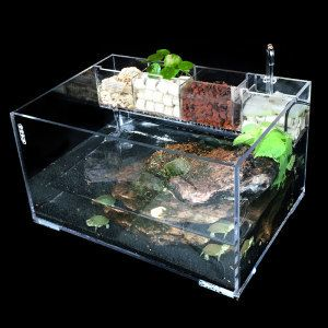 大魚魚缸造景圖
