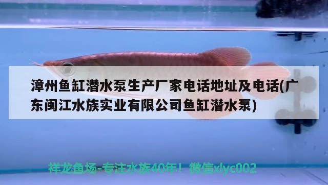 漳州魚缸潛水泵生產廠家電話地址及電話(廣東閩江水族實業有限公司魚缸潛水泵)