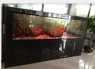 大型魚缸怎么清洗換水視頻