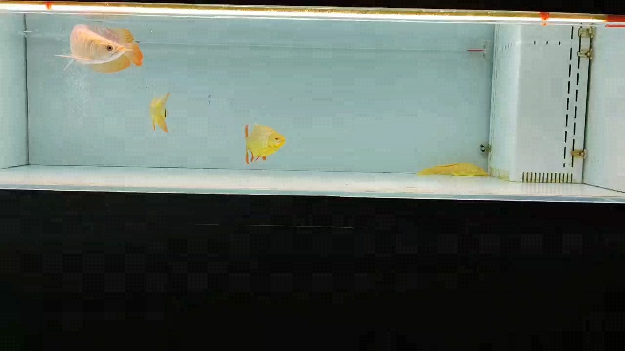 溫潤歲月，執著善良
