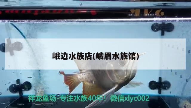 峨邊水族店(峨眉水族館)