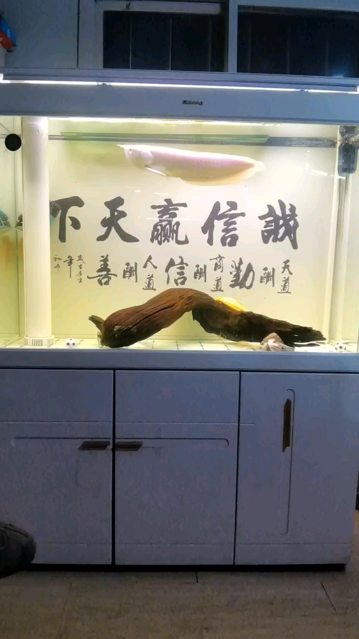 一度懷疑是雪龍！！！