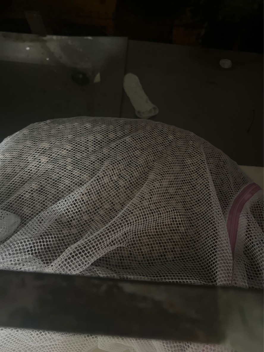 跌酸更換濾材 龍魚論壇 第1張 跌酸更換濾材 跌酸更換濾材 龍魚論壇 第1張