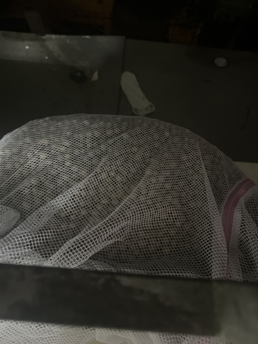 跌酸更換濾材 龍魚論壇 第7張 跌酸更換濾材 跌酸更換濾材 龍魚論壇 第7張