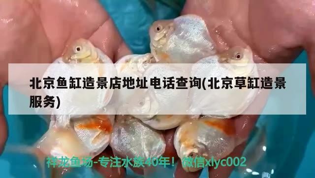 北京魚缸造景店地址電話查詢(北京草缸造景服務(wù))