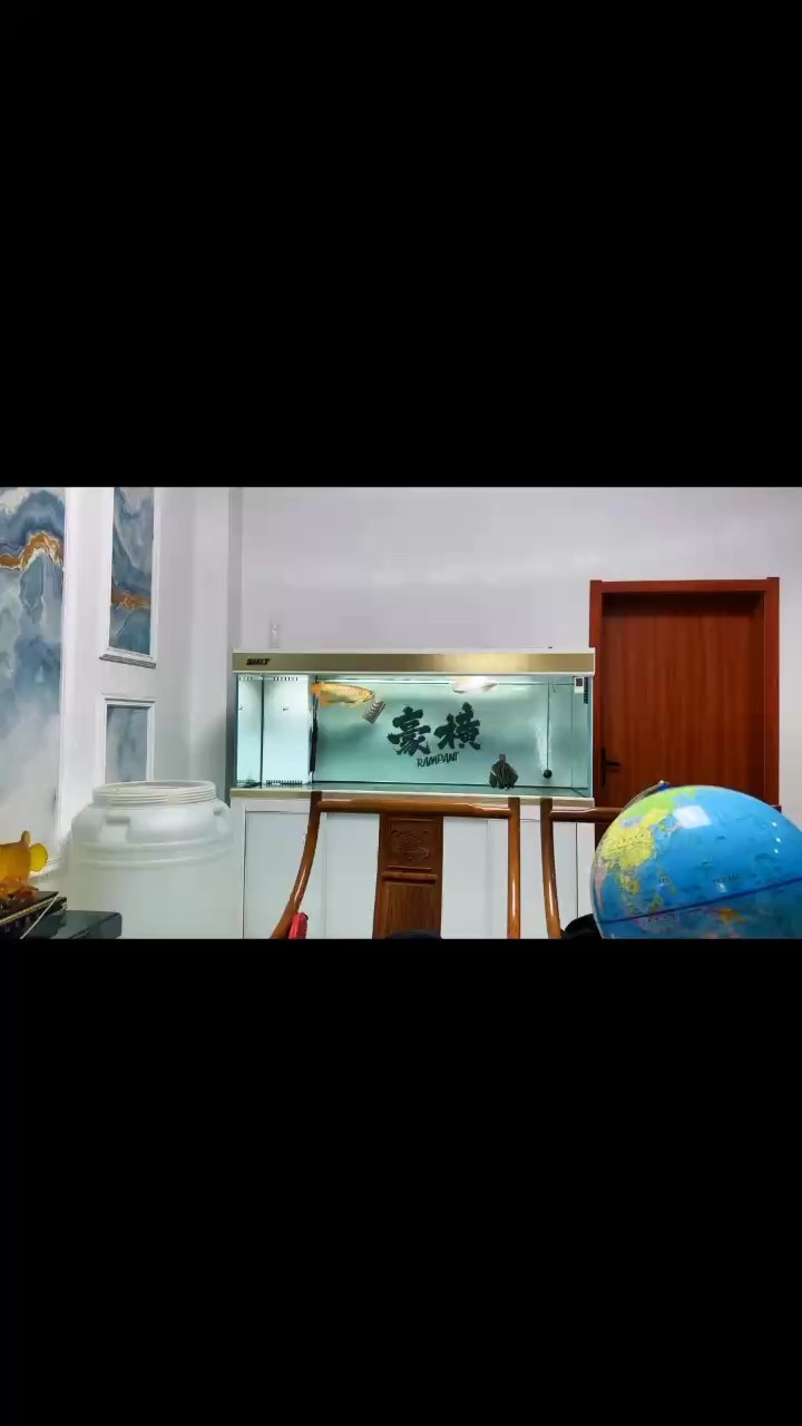 記錄一下我的愛寵