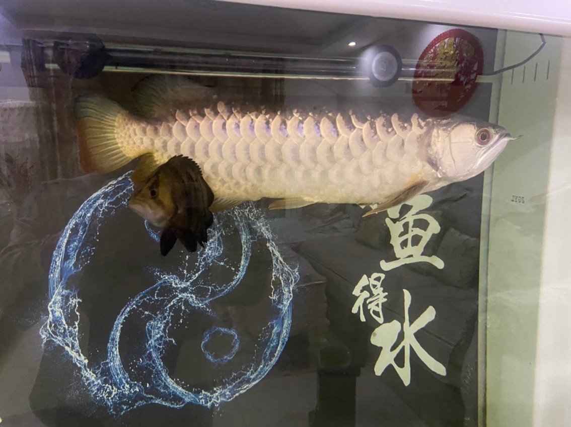 我家大寶貝