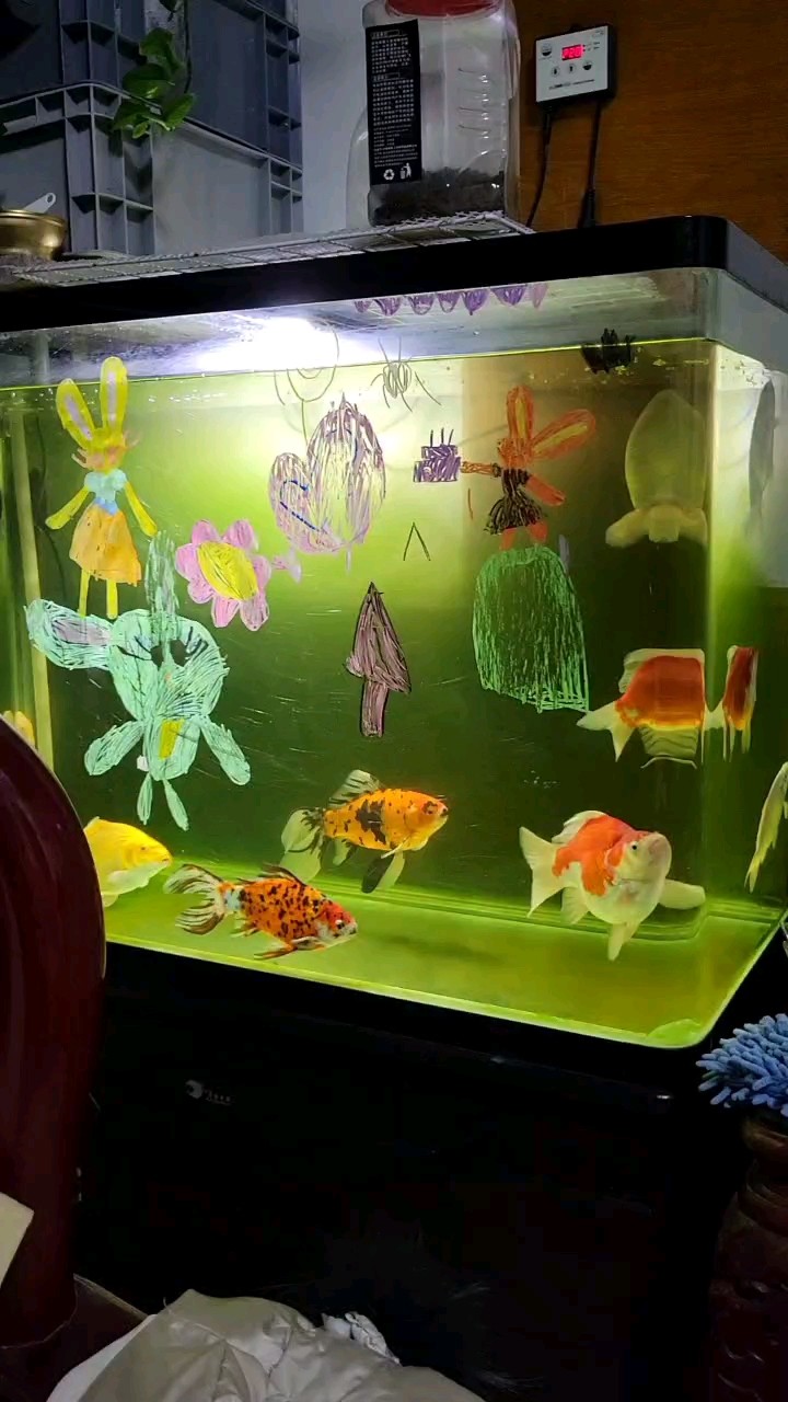 破缸養破魚哈哈