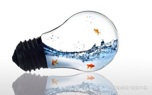 呼和浩特市新城區張莉漁具水族苑（呼和浩特市新城區張莉漁具水族苑地址）