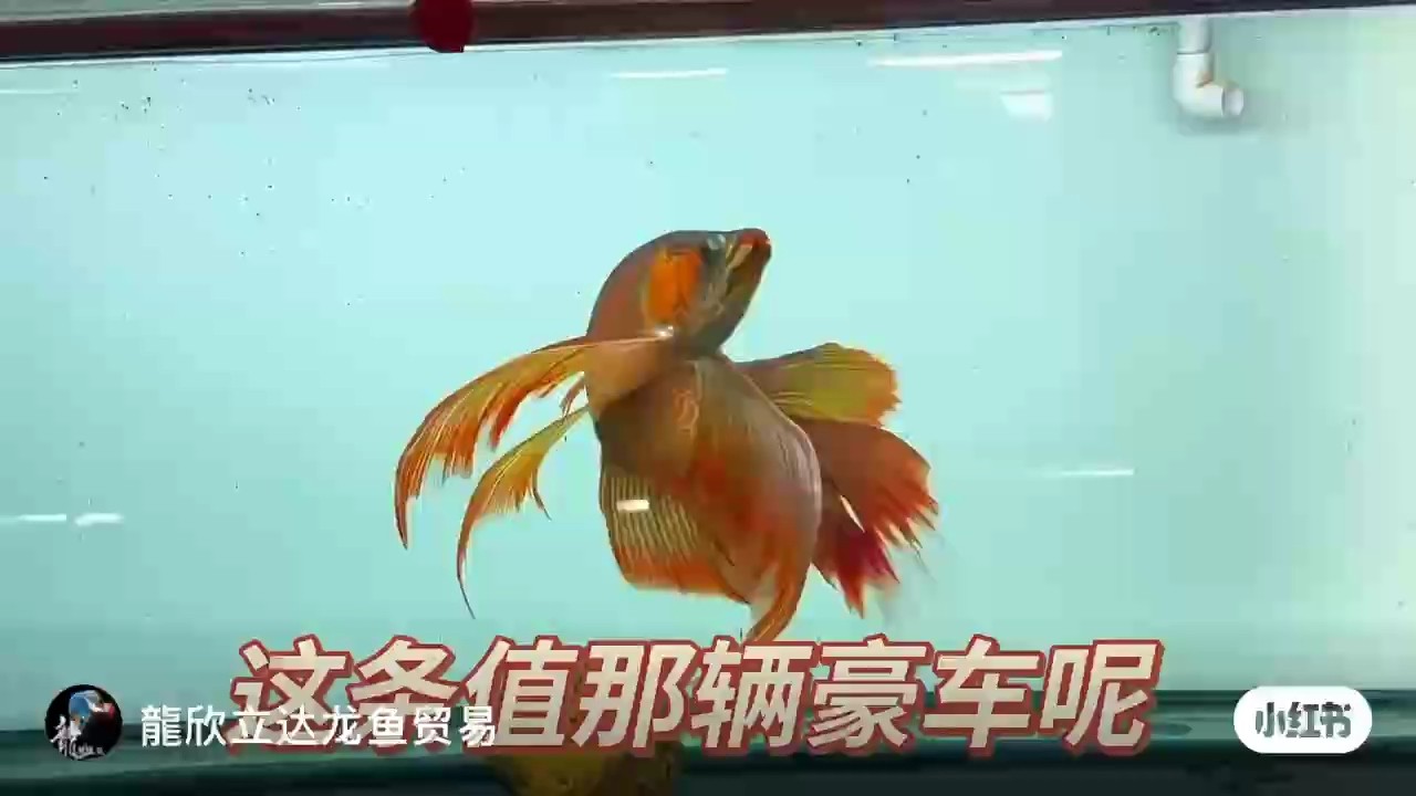 ooo