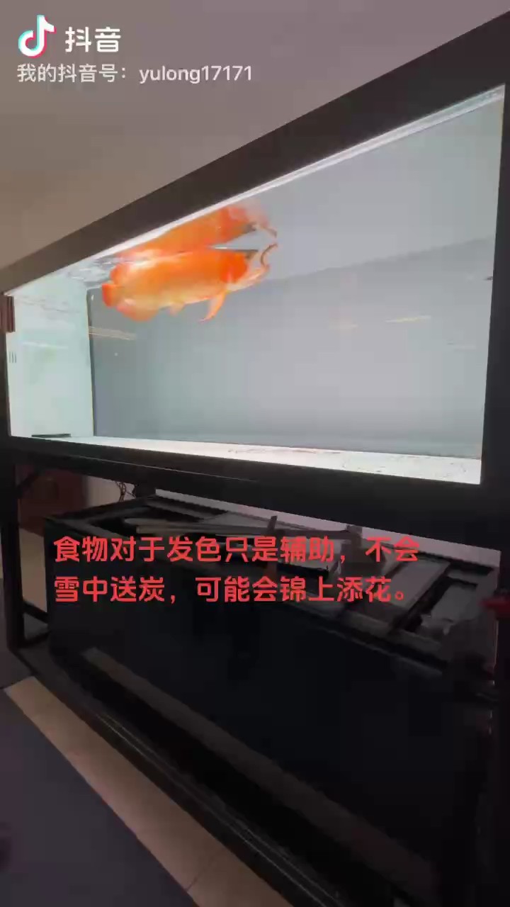 18Cm的蜈蚣伺候。