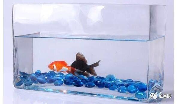 五原縣海世界水族館（五原海洋館）