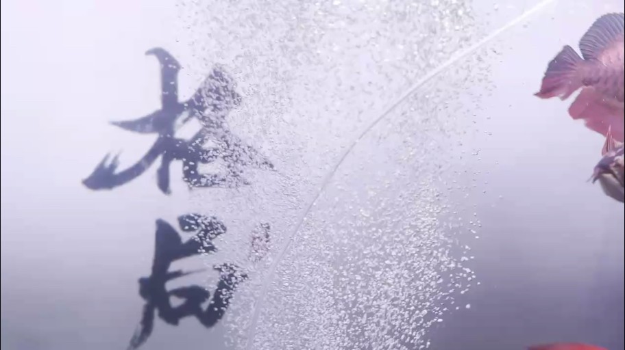指