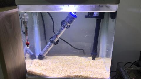 烏蘭浩特市藍揚水族館（烏蘭浩特市藍揚水族館在哪）