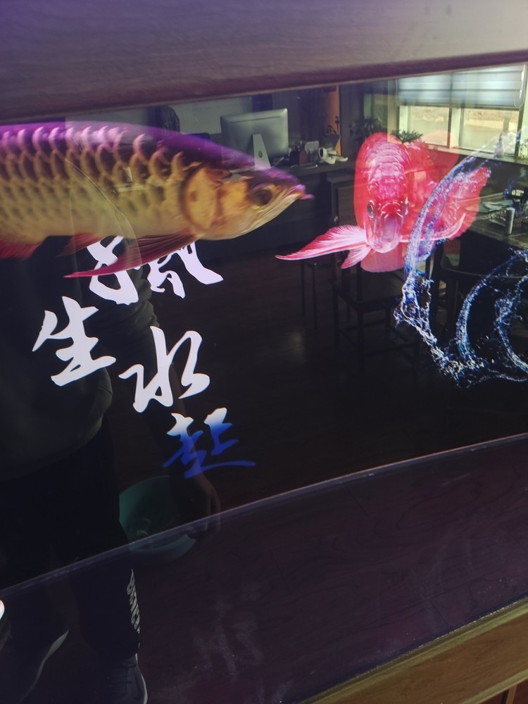 新手養(yǎng)魚 求大神幫忙指點(diǎn)