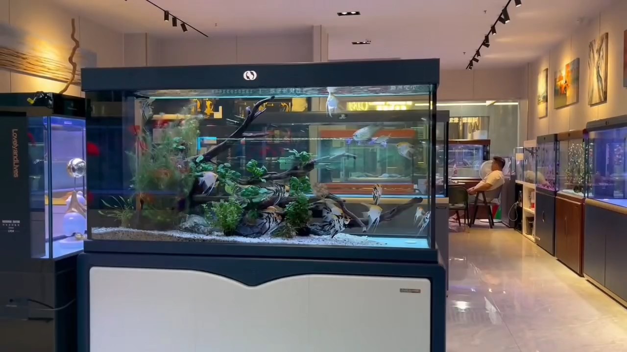 廣州百藝城的日常