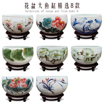 福州市倉山區林振強水族店（福州市倉山區林振強水族店地址）