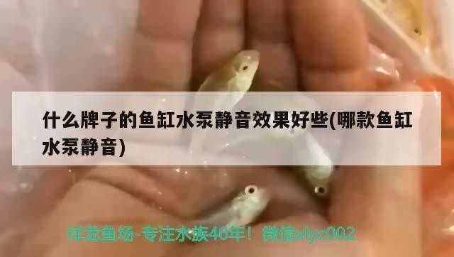 森森he480草缸（森森he480魚缸）