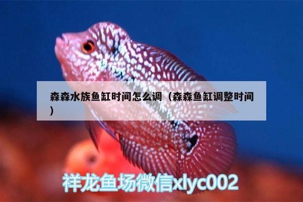 漳平市永福大振水族館（漳平市永福大振水族館電話）