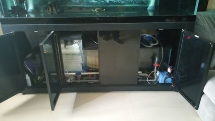 沂水哪里有賣魚缸的地方（沂水哪里有賣魚缸的地方啊）