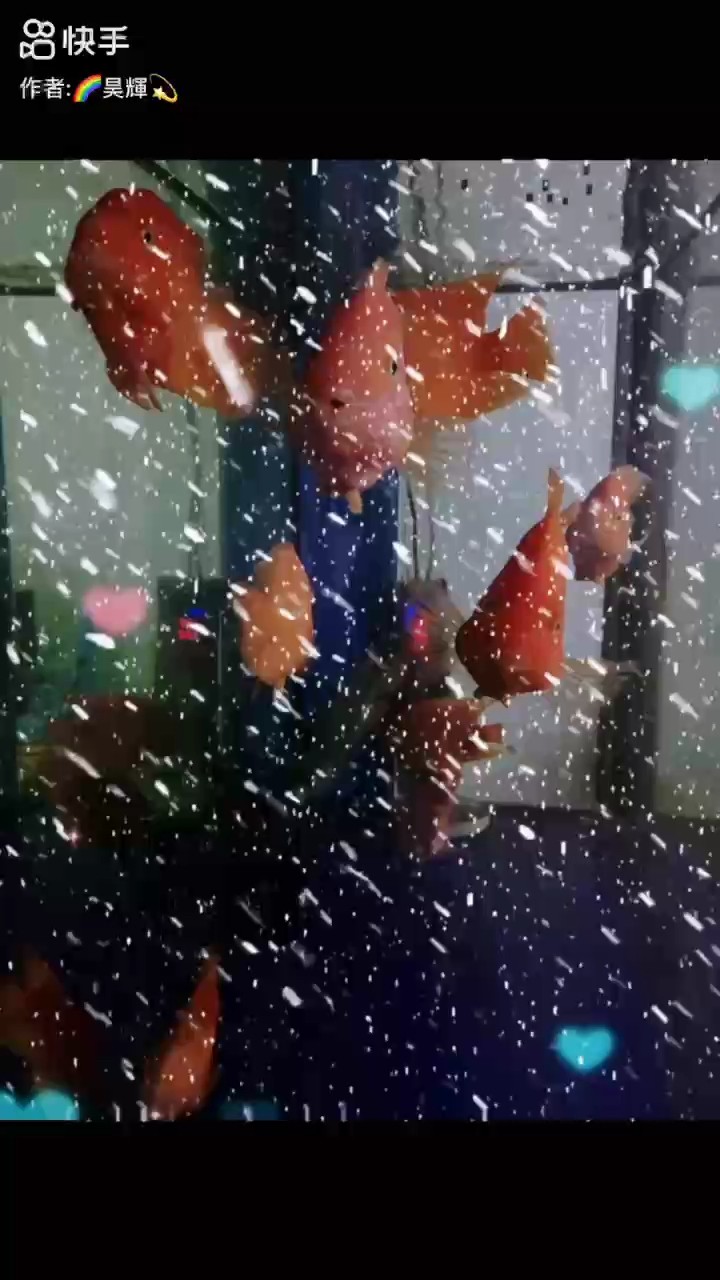 192天，?堅持打卡記錄