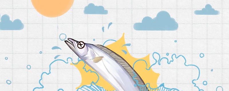 新手養金龍魚需要準備什么？（新手養金龍魚有哪些常見錯誤，）