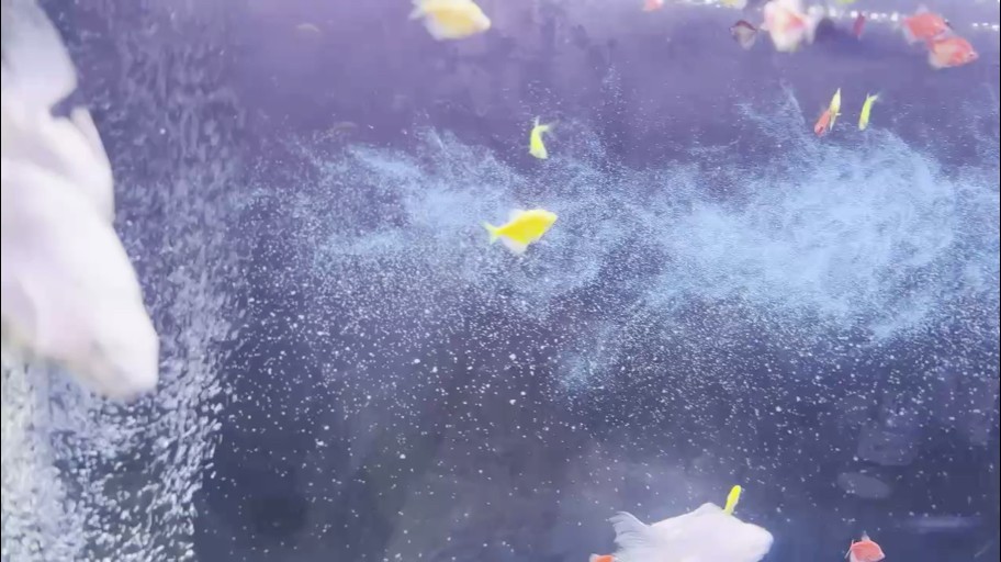 水可以