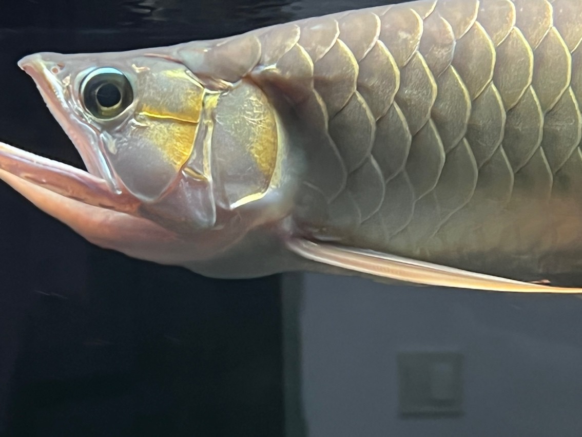 2023年9月1日 繼續變化著[se]