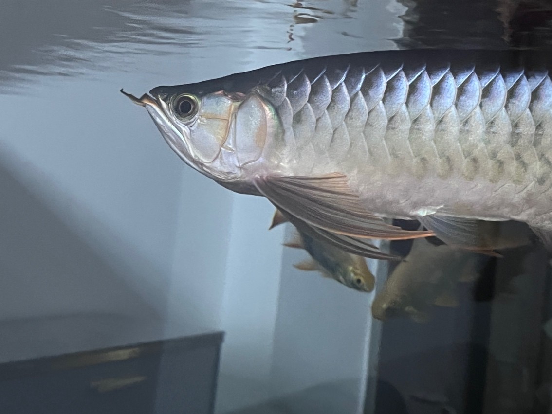 2023年9月1日 繼續變化著[se]