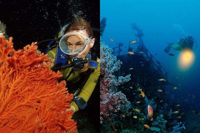 中衛(wèi)紅龍魚價格2688貴嗎？