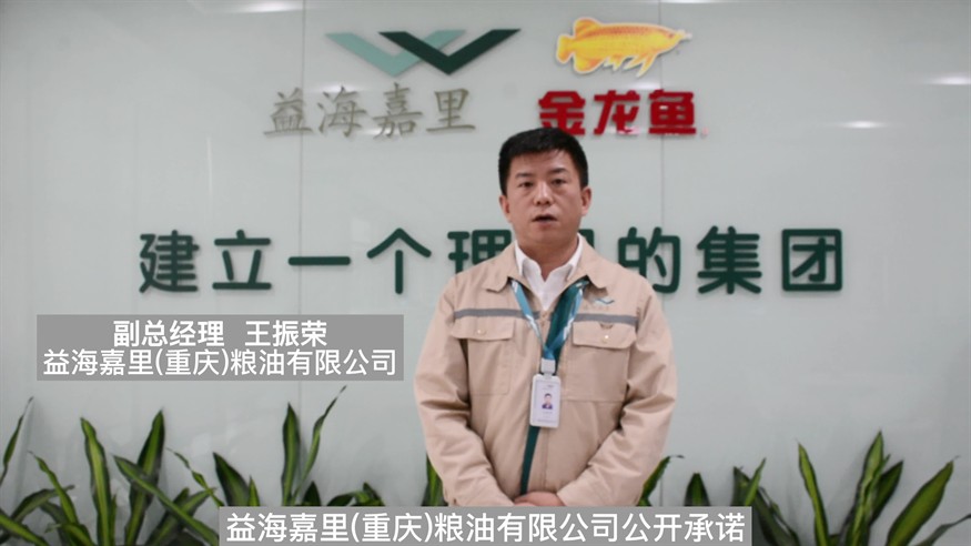 品牌金龍魚vx祥龍魚場（祥龍金龍魚怎么樣）