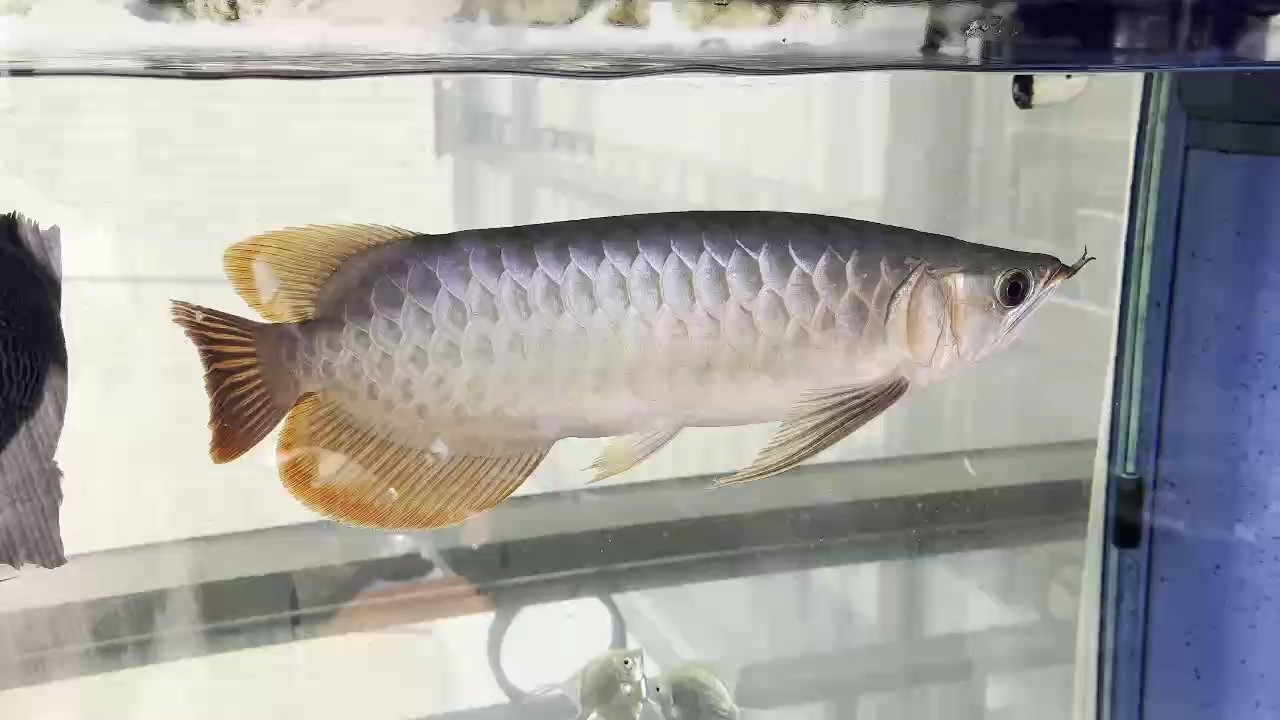 周末出來溜溜