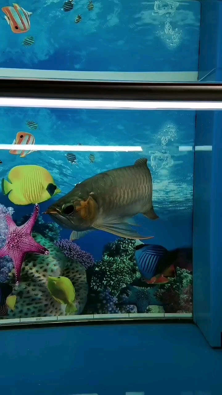 1年了，開始上側燈