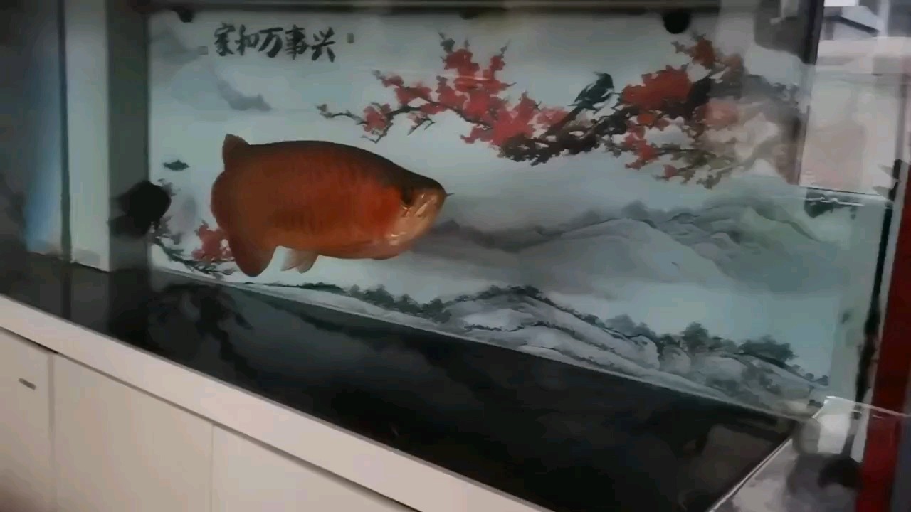 正經湯勺