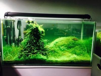 扎蘭屯市好多魚水族館（扎蘭屯吃魚的地方）