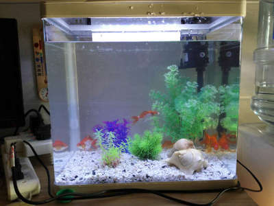 森森魚池水泵（森森魚池水泵官方旗艦店）