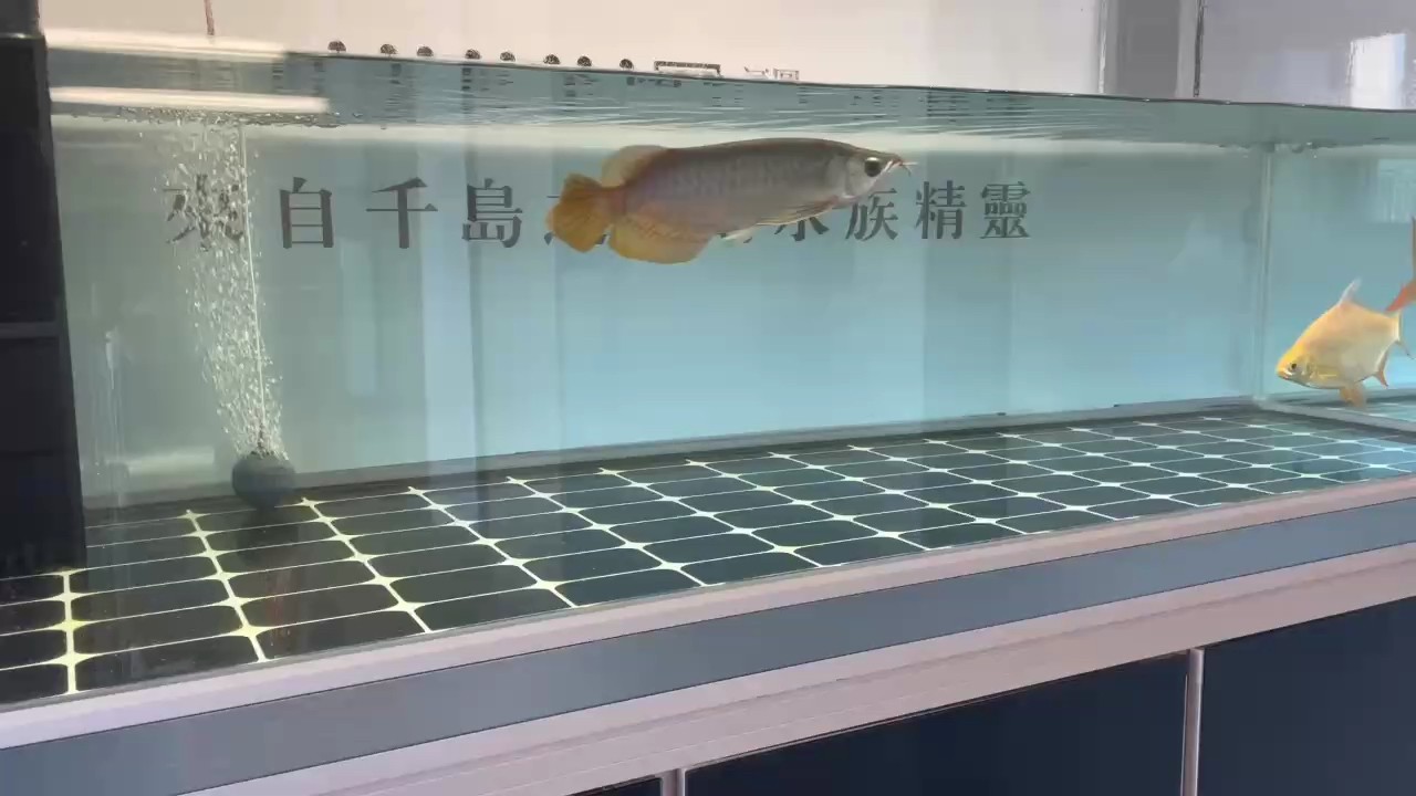 到家1個月打卡