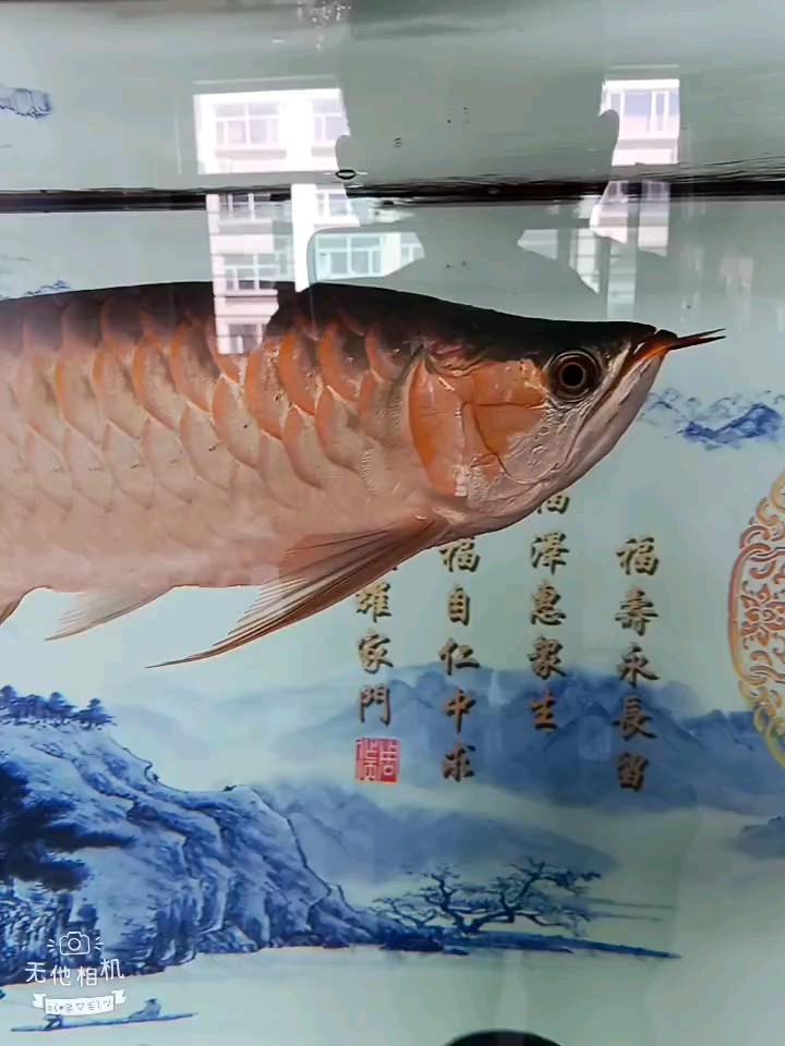 水清了
