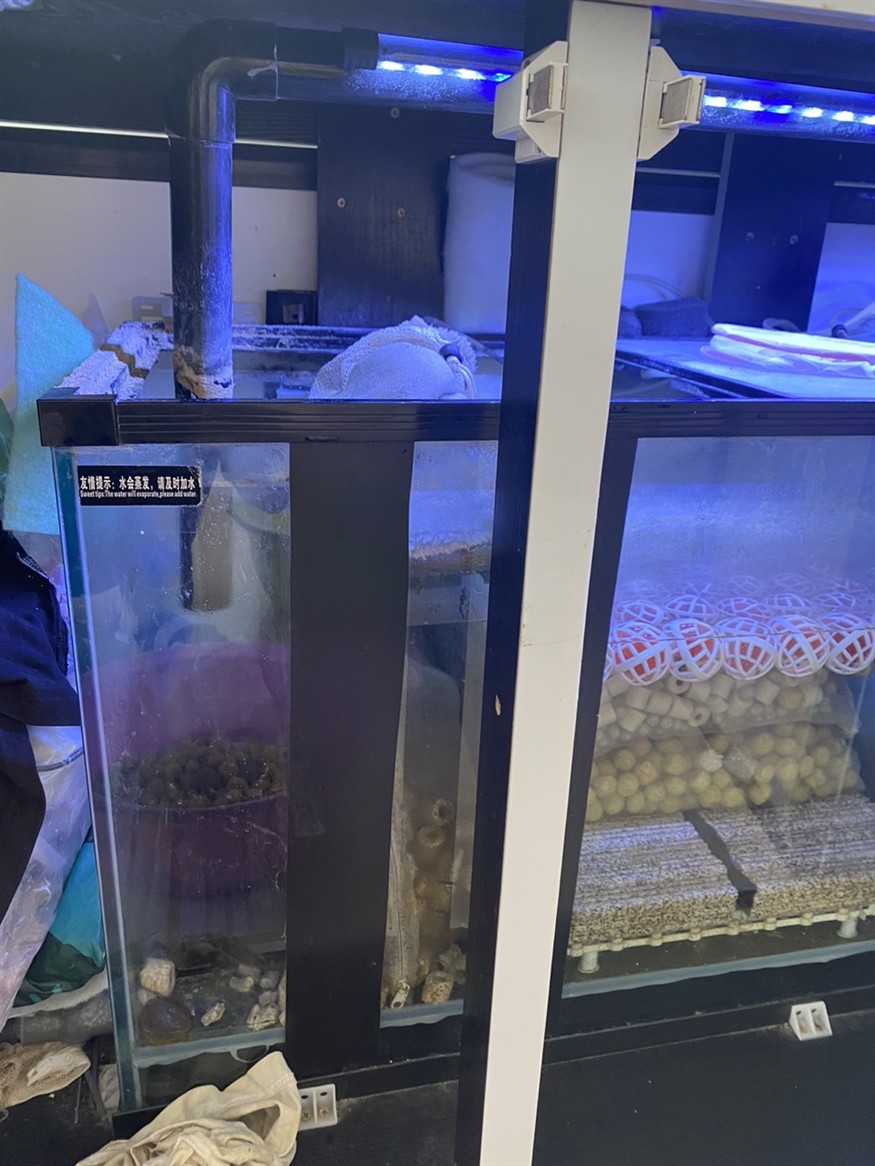 濾材的保養與維護