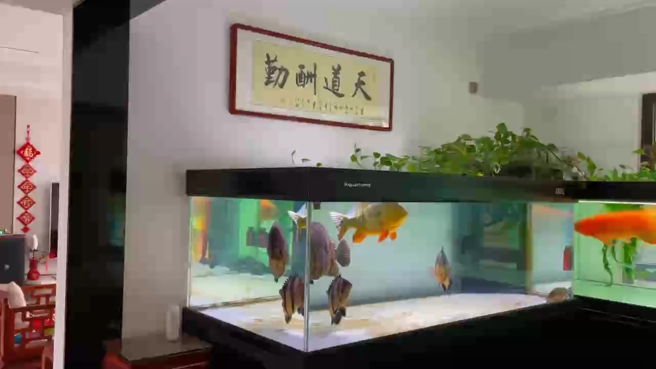 每天固定消費20塊[捂臉]早晚10塊錢伙食費